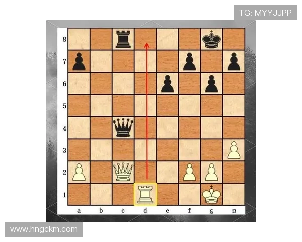 杭州羽毛球队的节奏打法深度解析与战术优势剖析