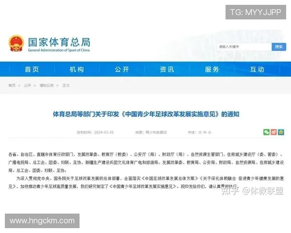全球足球文化发展趋势与青训体系创新路径及未来战略展望研究述评