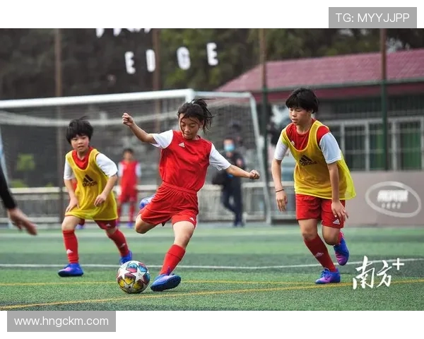 岳阳队足球奋勇前行再创新高 助力地方足球崛起与发展