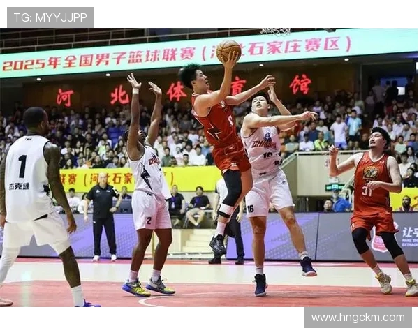 NBL河北翔蓝迎战广西队全力争胜展现球队实力与激情