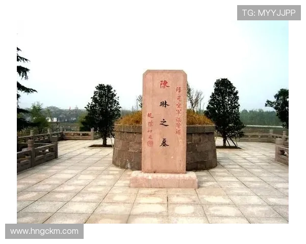 休斯敦对盐城湖精彩直播全程回顾及赛后分析